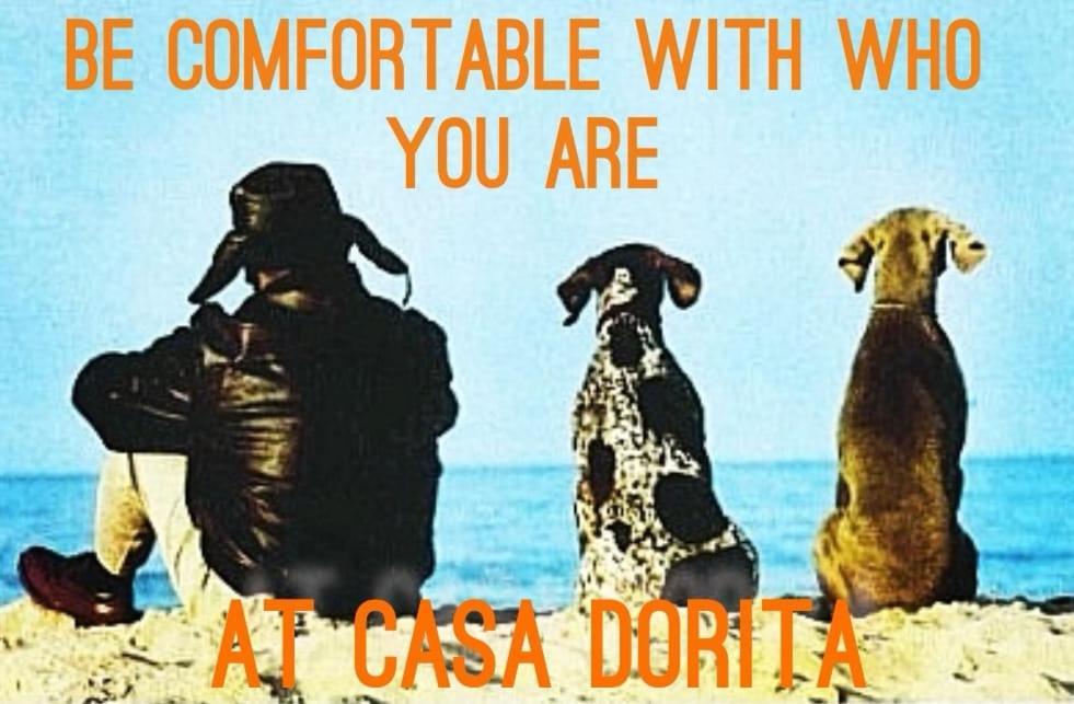 Hotel Casa Dorita - Free Breakfast Corner 8-12