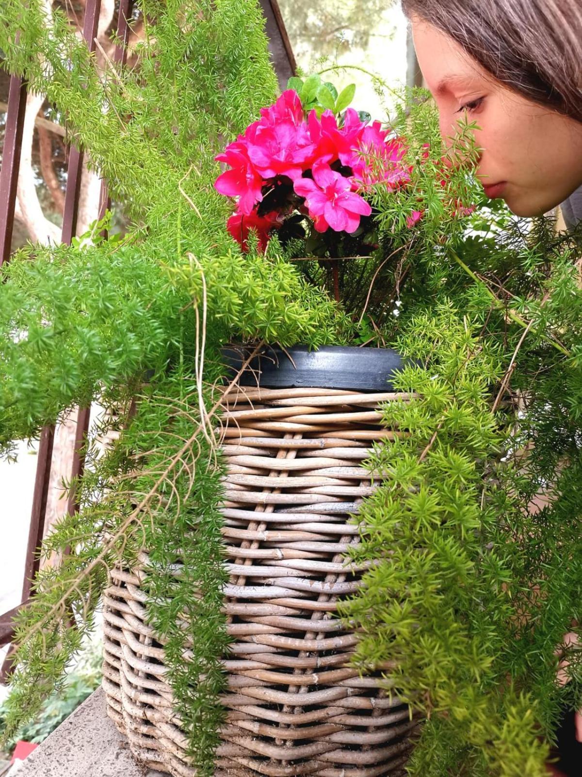 Casa Dorita - Free Breakfast Corner 8-12 Hotel 2*