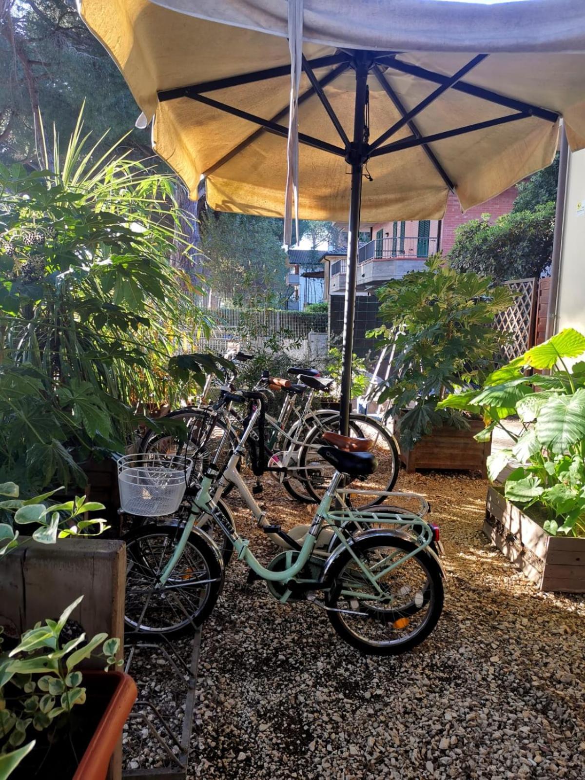 Hotel Casa Dorita - Free Breakfast Corner 8-12 Cervia