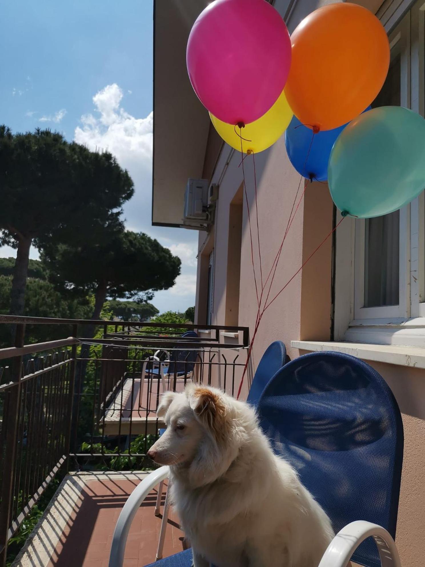 Casa Dorita - Free Breakfast Corner 8-12 Hotel Cervia
