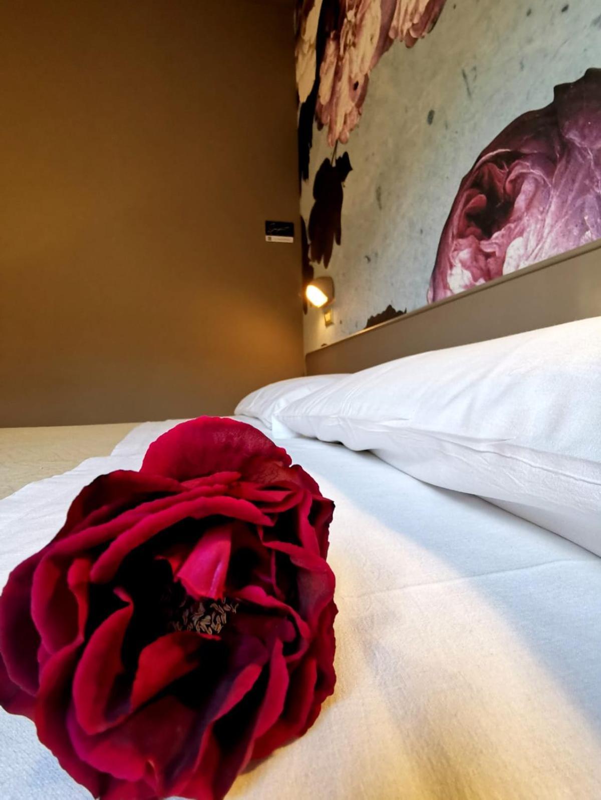 Casa Dorita 2* Cervia