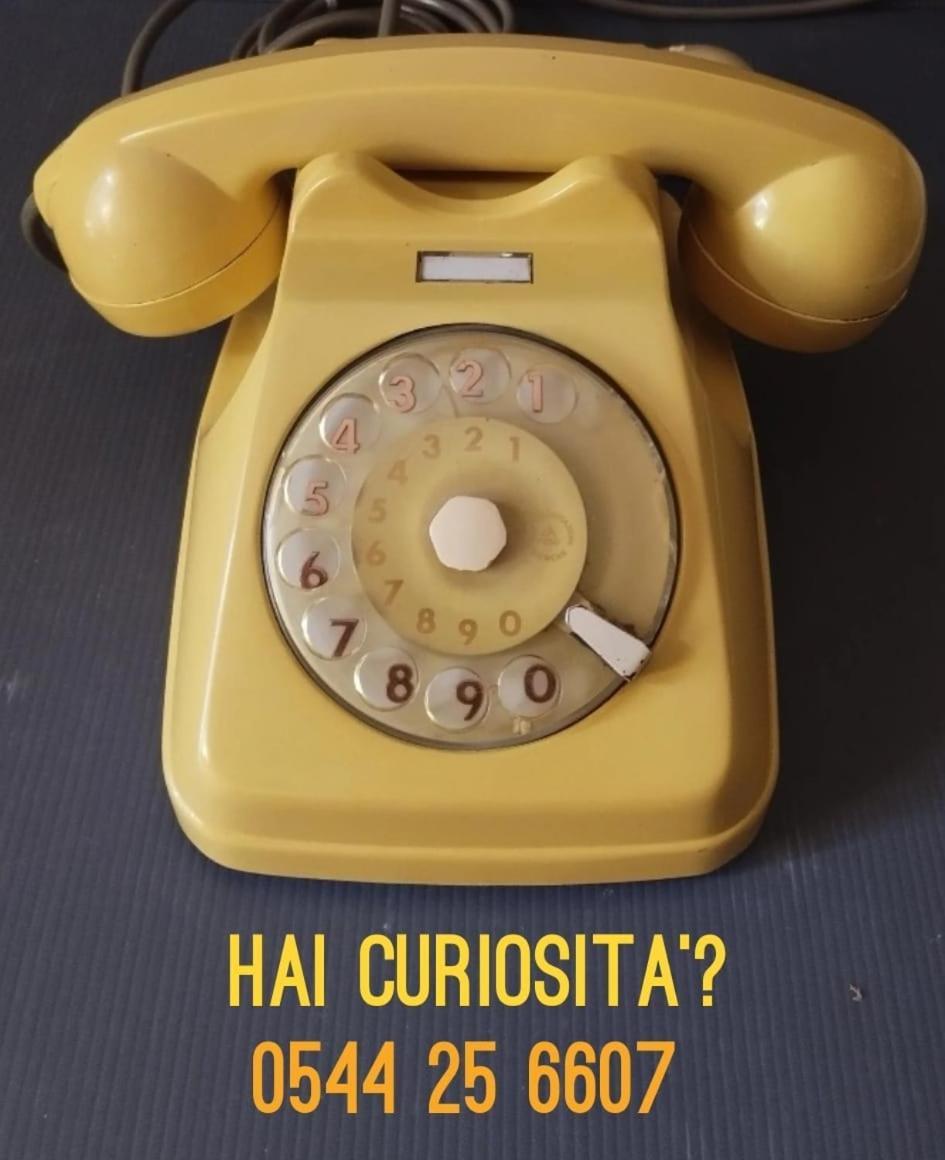 Casa Dorita 2*
